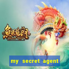 my secret agent husband legendado